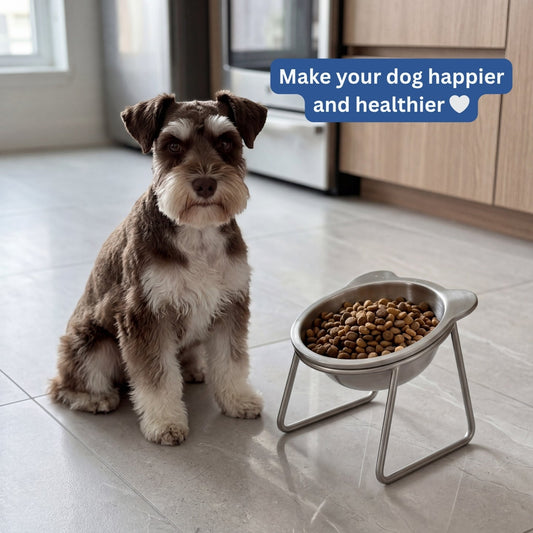 Baxter & Tail™ Orthopedic Feeding Bowl