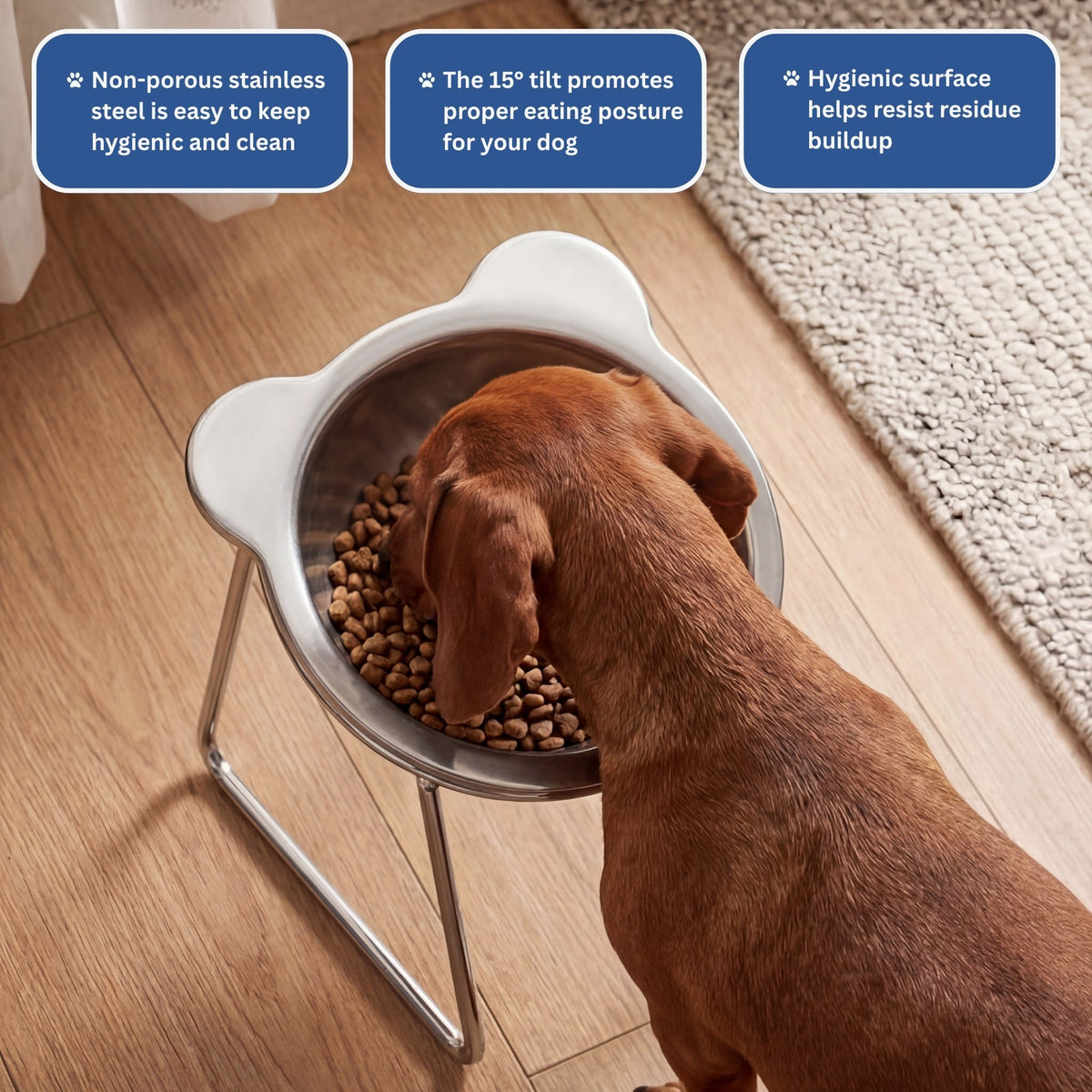 Baxter & Tail™ Orthopedic Feeding Bowl