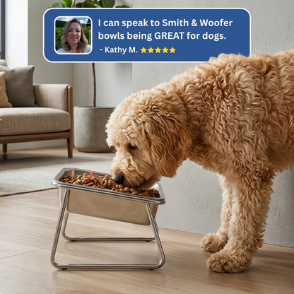 Baxter & Tail™ Orthopaedic Feeding Bowl