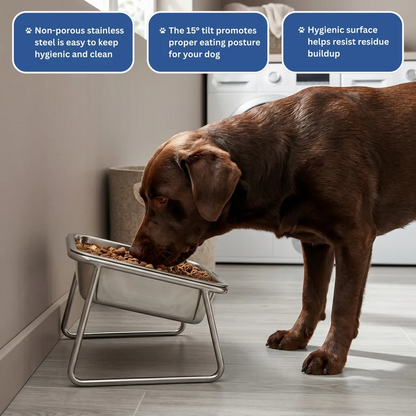 Baxter & Tail™ Orthopaedic Feeding Bowl