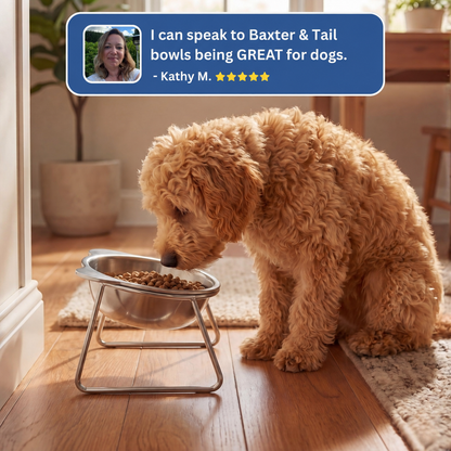 Baxter & Tail™ Orthopedic Feeding Bowl