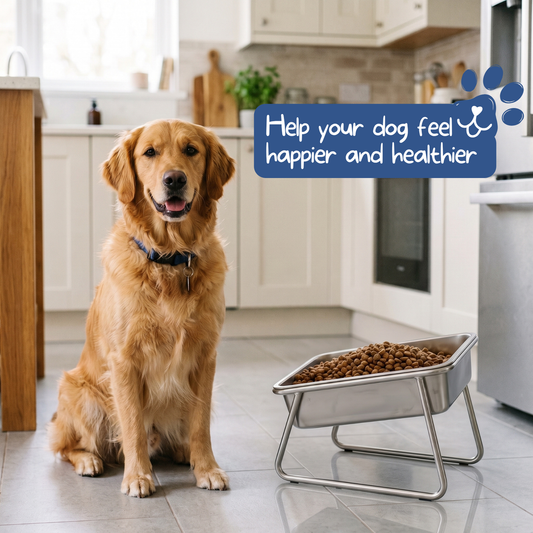 Baxter & Tail™ Orthopaedic Feeding Bowl