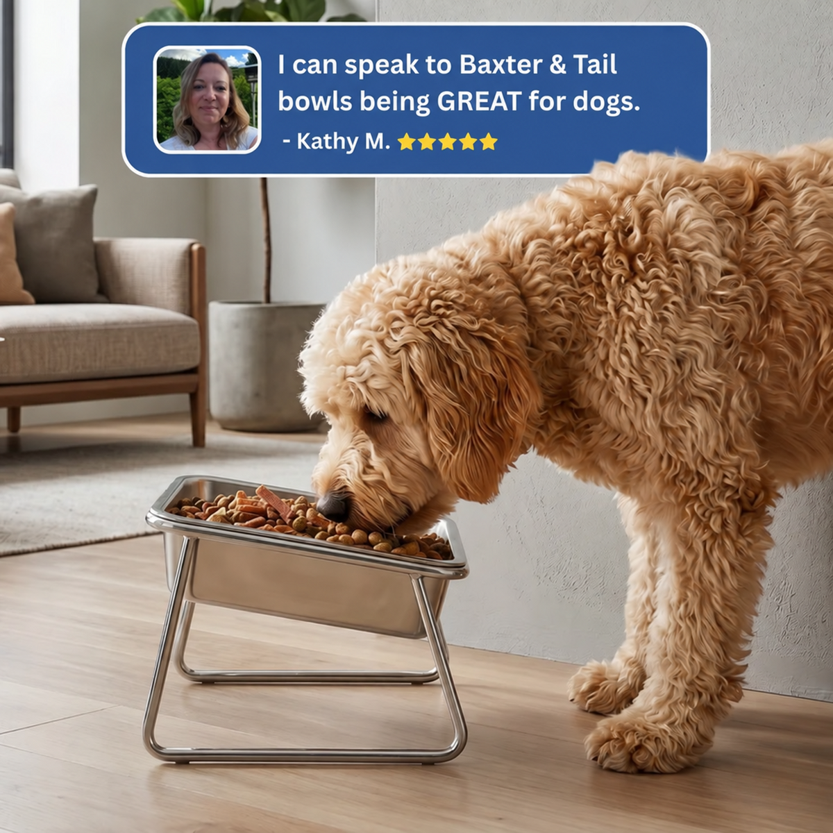 Baxter & Tail™ Orthopaedic Feeding Bowl